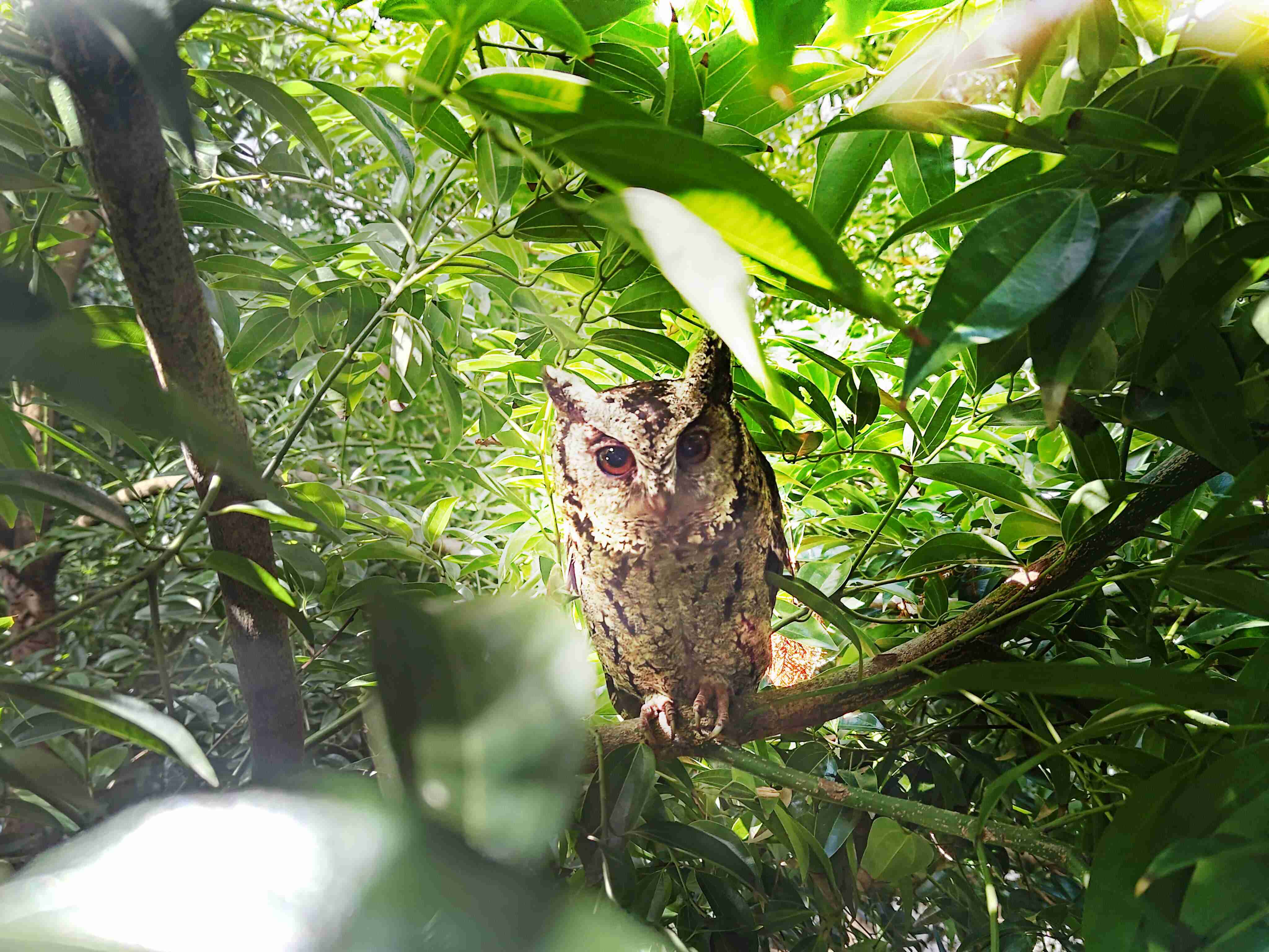 尊时凯龙致力提倡净零绿生活，，，16年以来在全球各厂区植树逾百万棵，，造就各厂区树木蔚然成林，，，，犹如森林工厂，，，，成为许多生物的栖息地